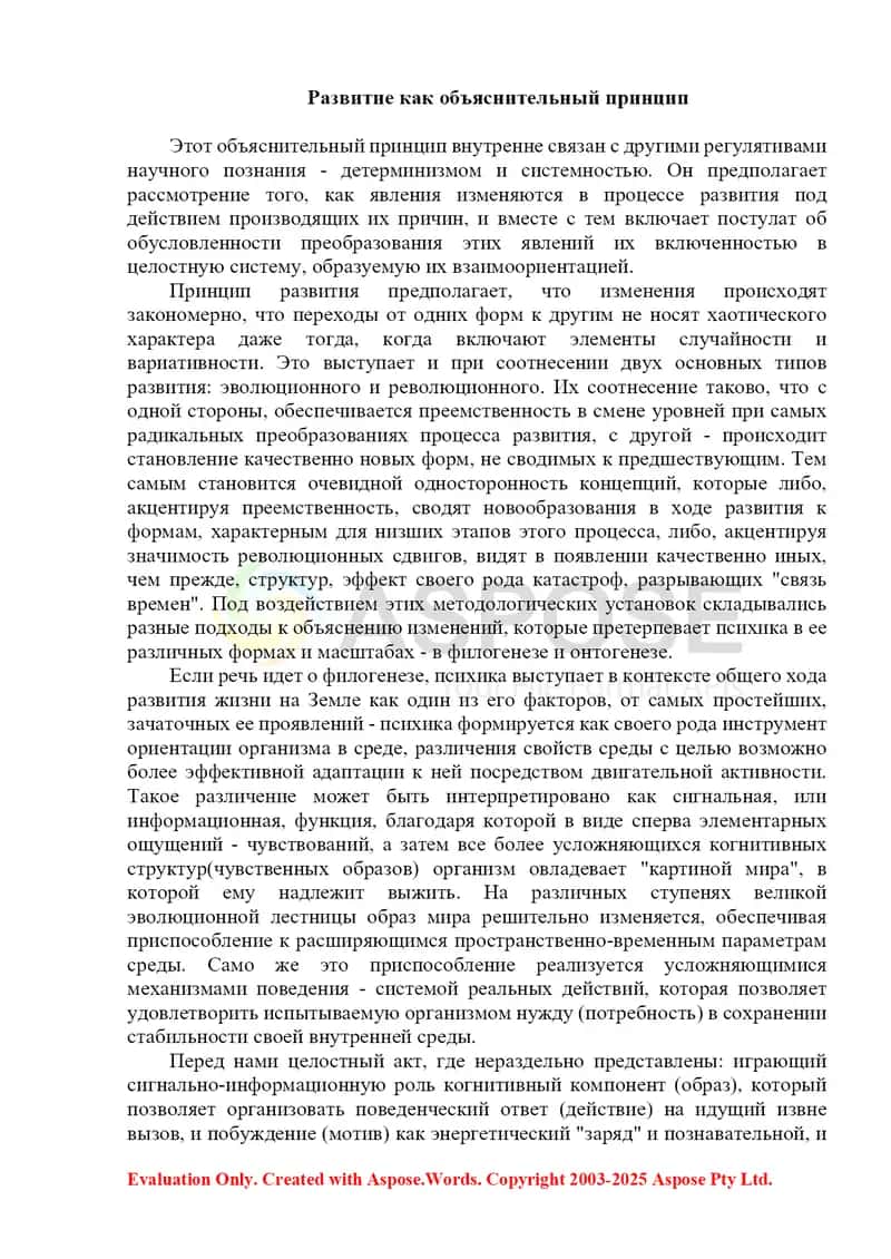 Принципы развития деятельности 2