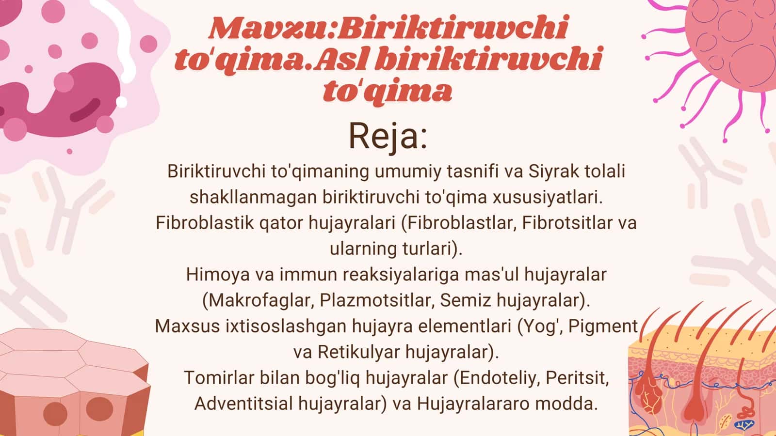 Biriktiruvchi to'qima.Asl biriktiruvchi to'qima 2