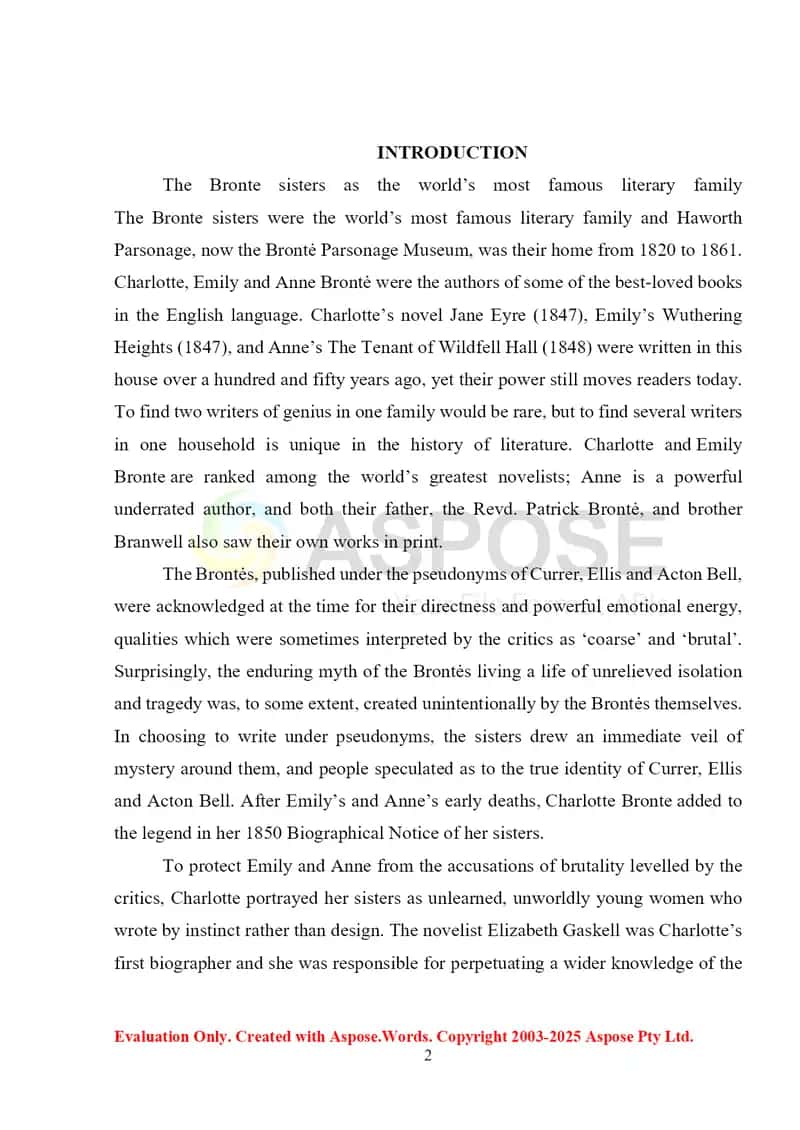Literary analyze of Jane Eyre by Charlotto Bronte 2