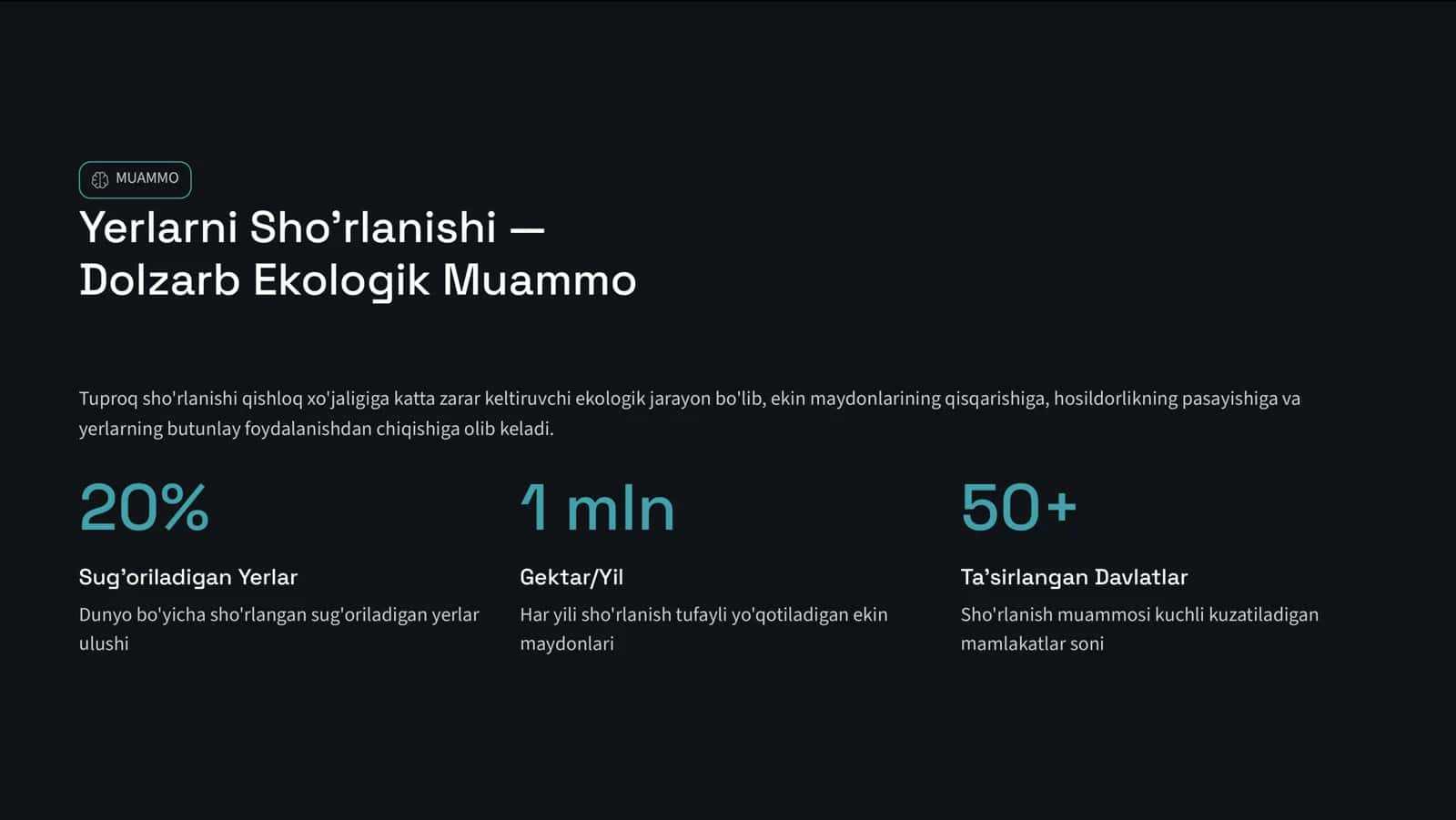 Yerlarni Sho'rlanishi 2
