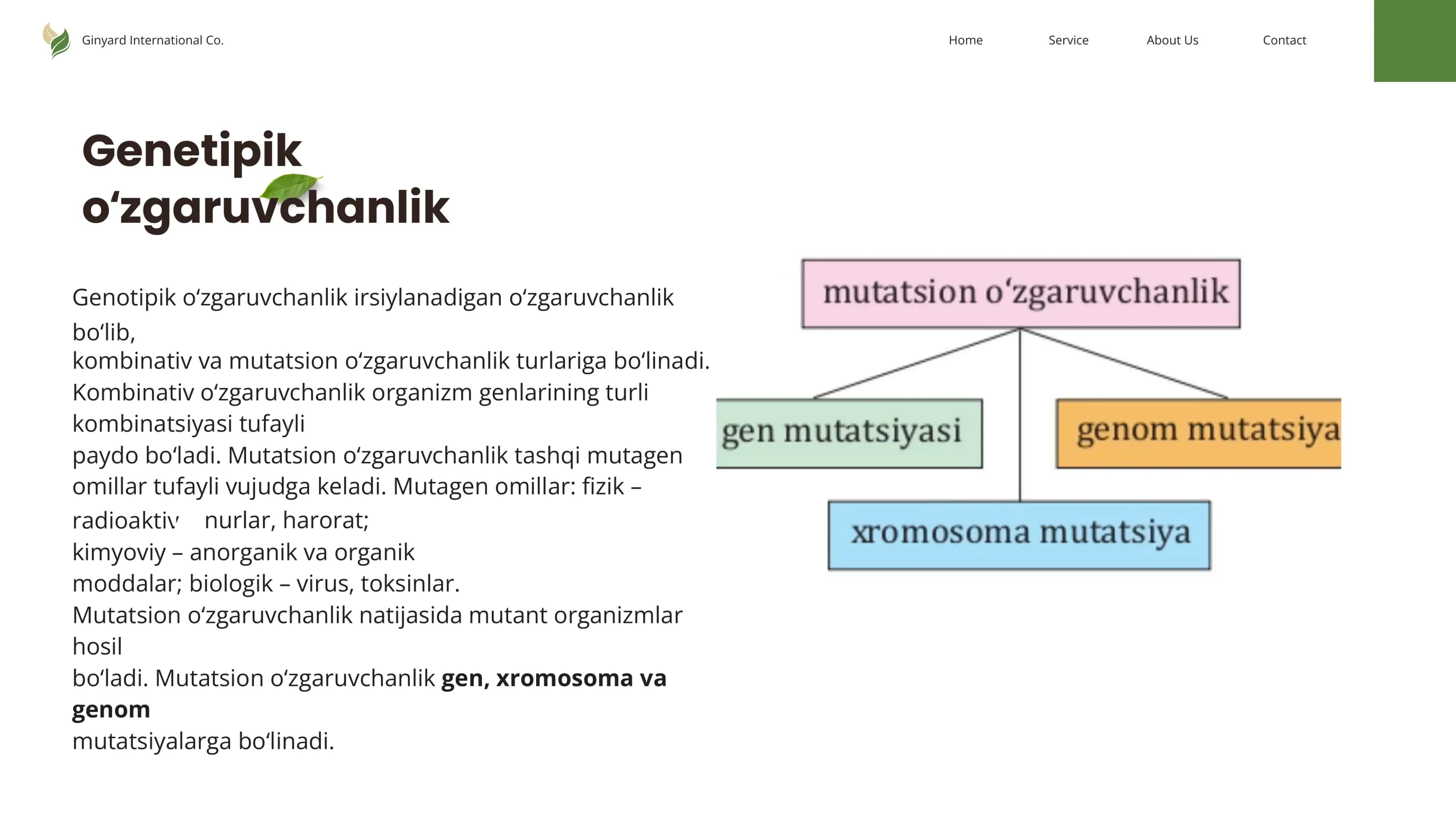Genetika 2