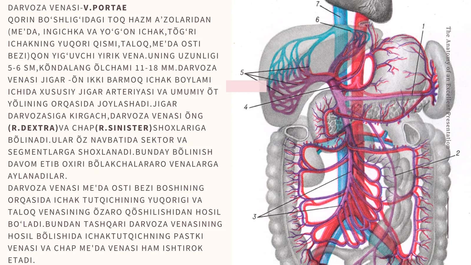 The Anatomy of an Excellent Presentation 2