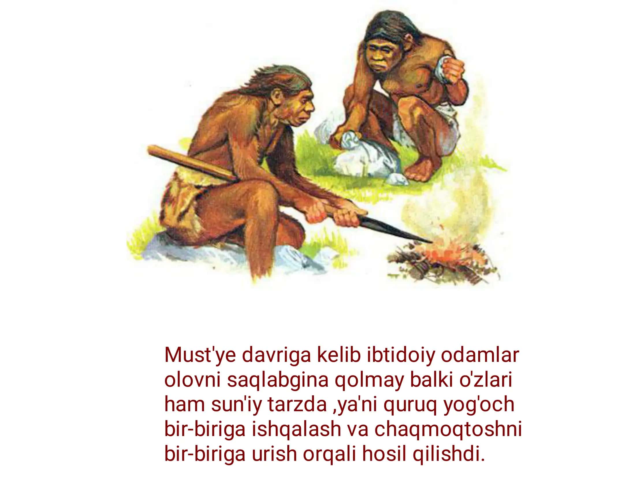 Paleolit davri 2