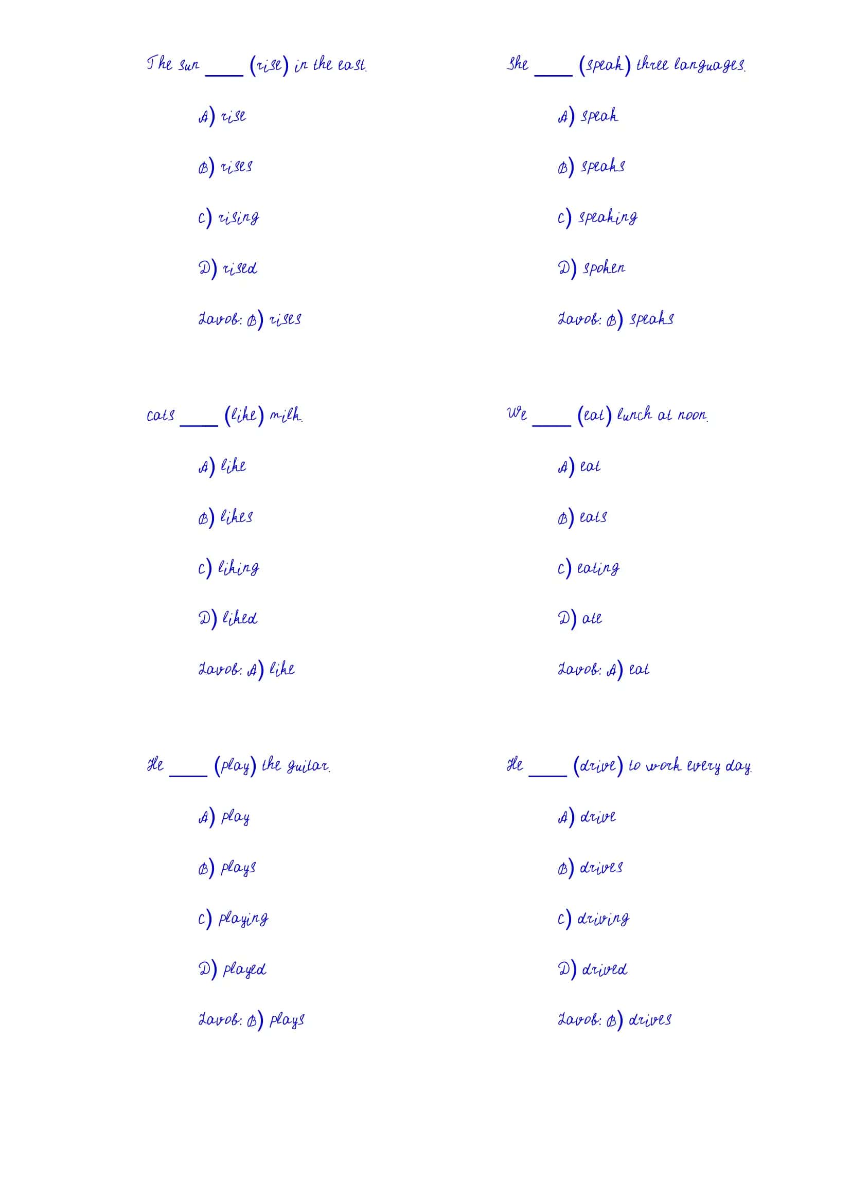 English Grammar Quiz 2