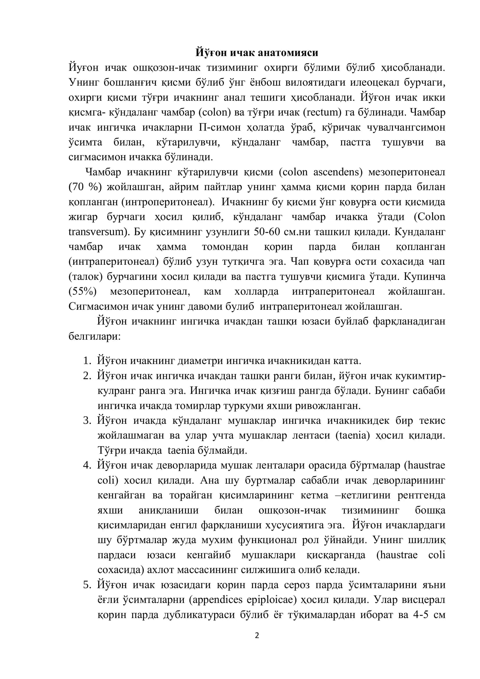 Йўғон ичак анатомияси 2