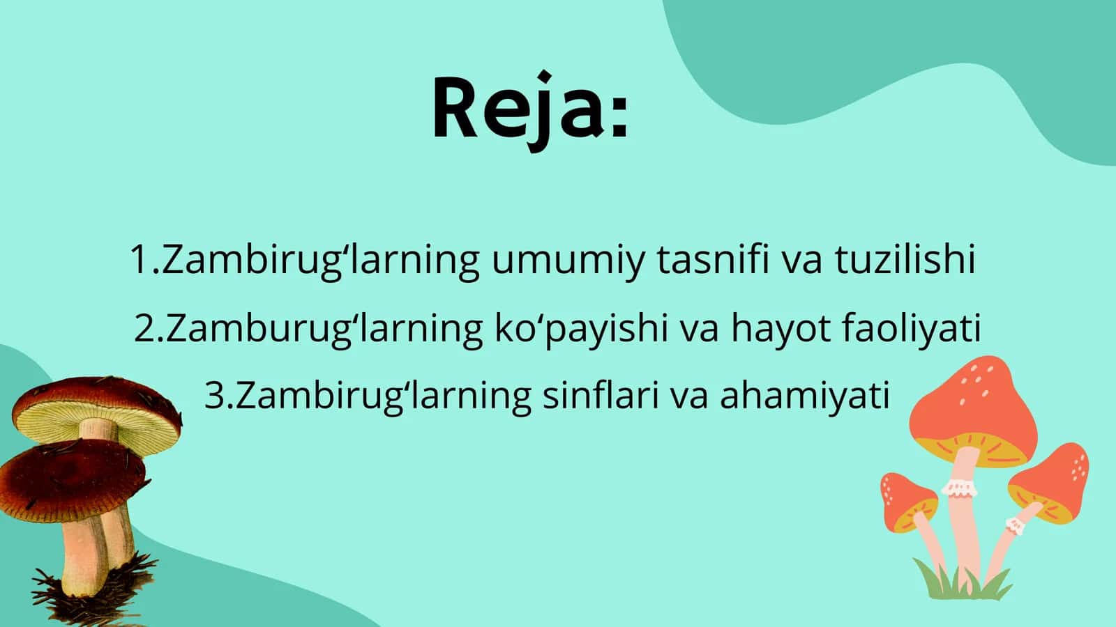 Zamburugʻlar va ularning tarqalishi 2