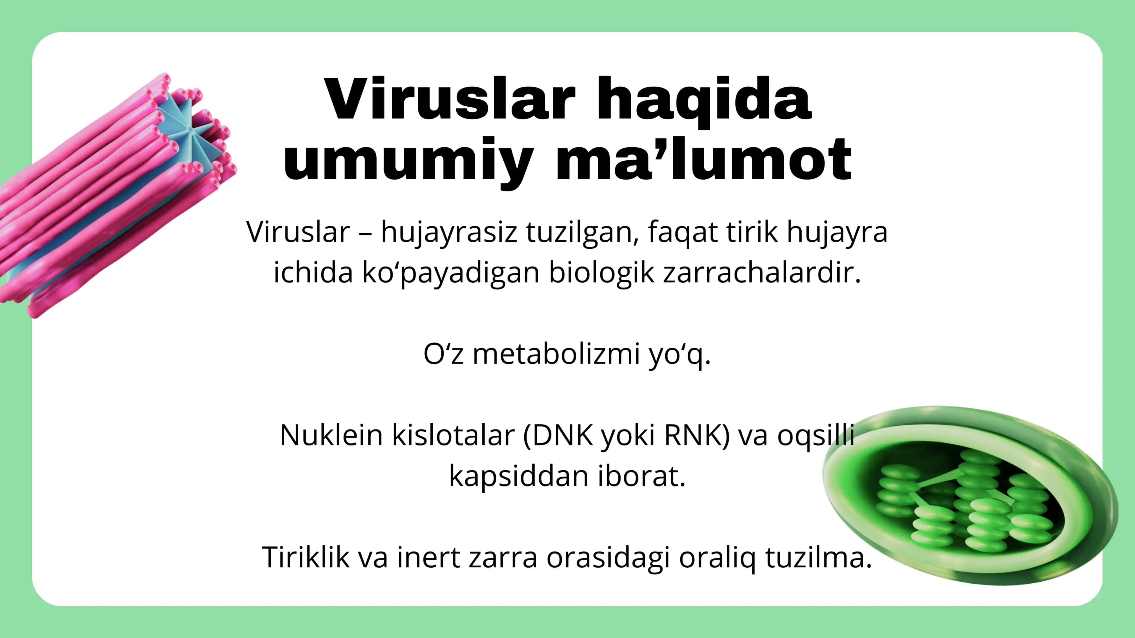 Viruslar haqida umumiy ma'lumot 2