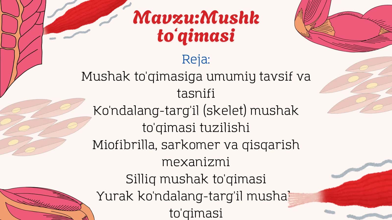 Mushk toʻqimasi 2