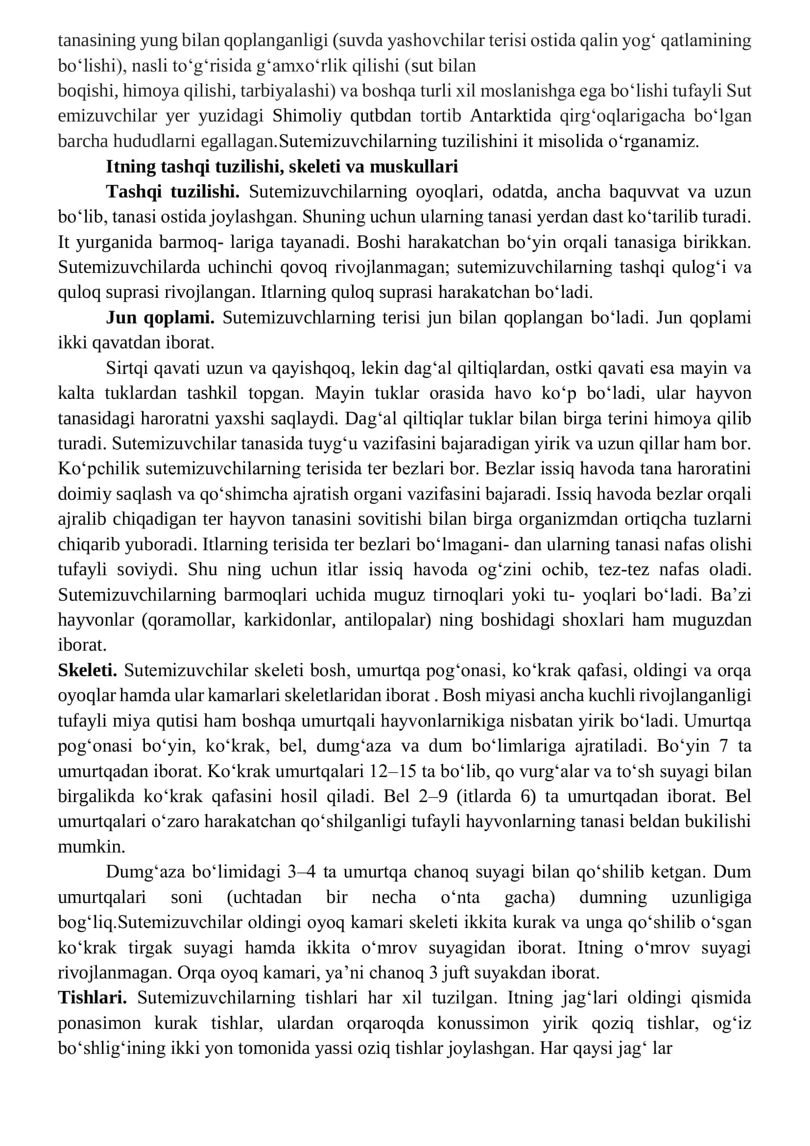 Sutemizuvchilar (Mammalia) 2