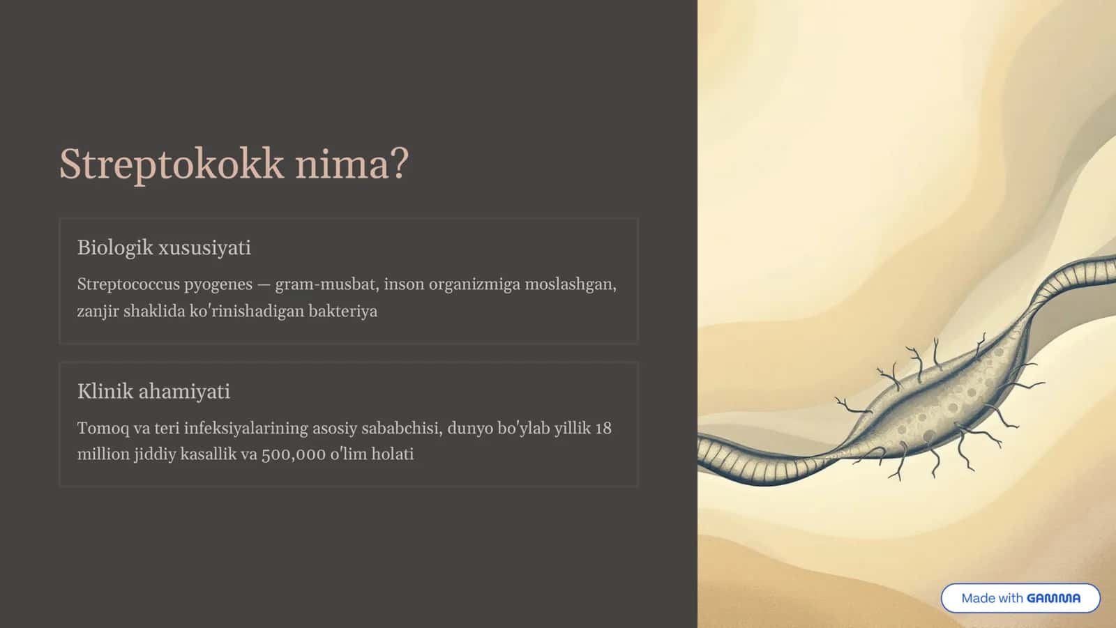 Streptokokkli infeksiya 2