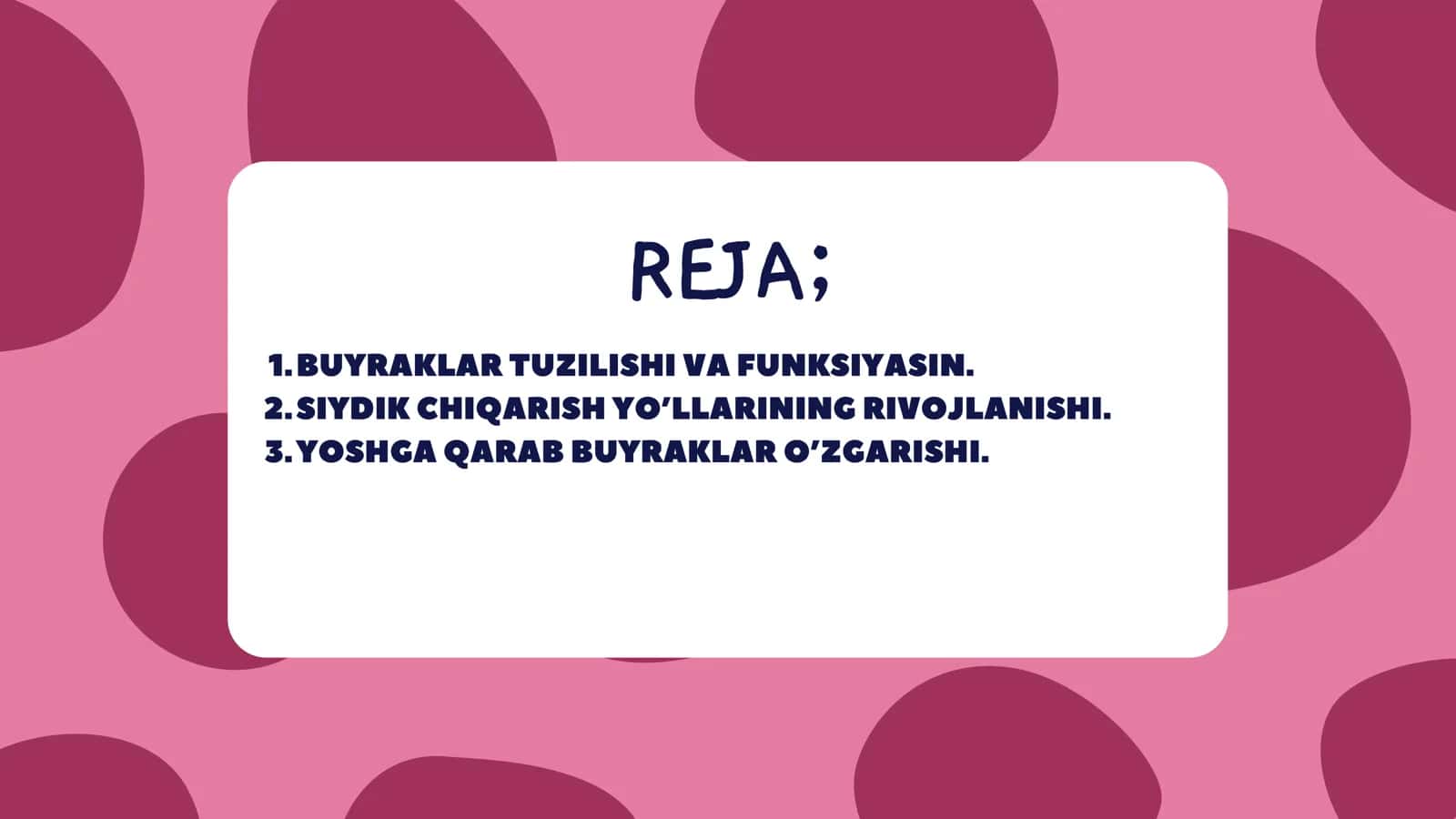 QUCHQOROVA SABINA ABDIVOHID QIZI BUYRAKLAR 2