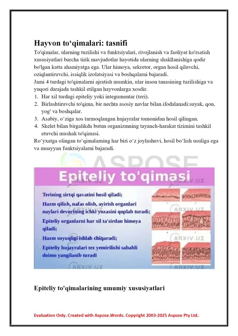 Epiteliy to’qimasi 2