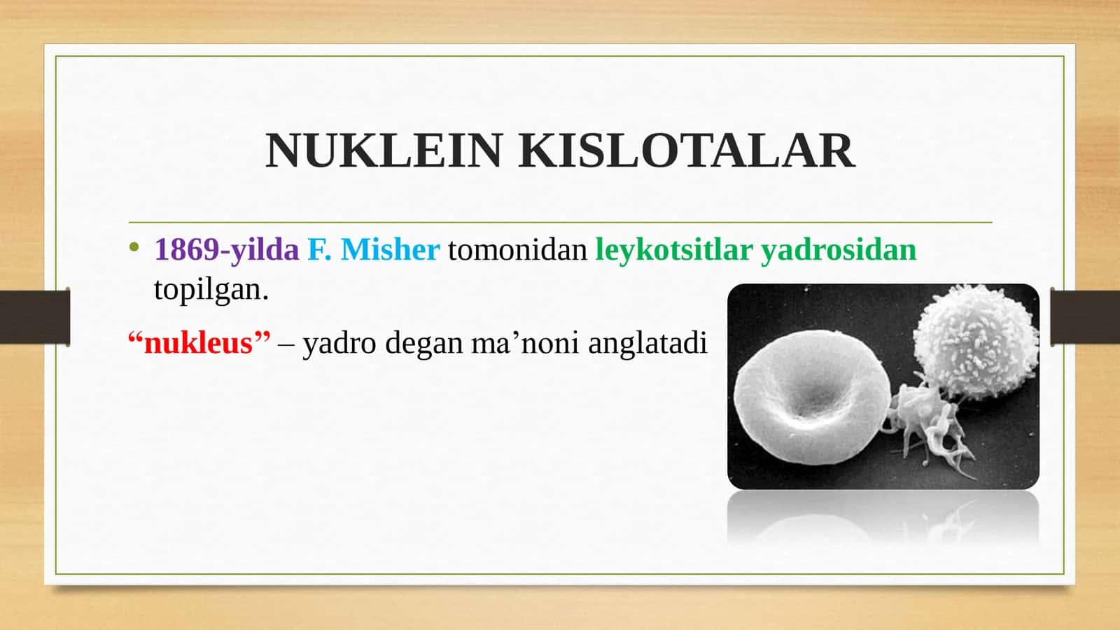 BIOLOGIYA DNK mukammal qollanma 2