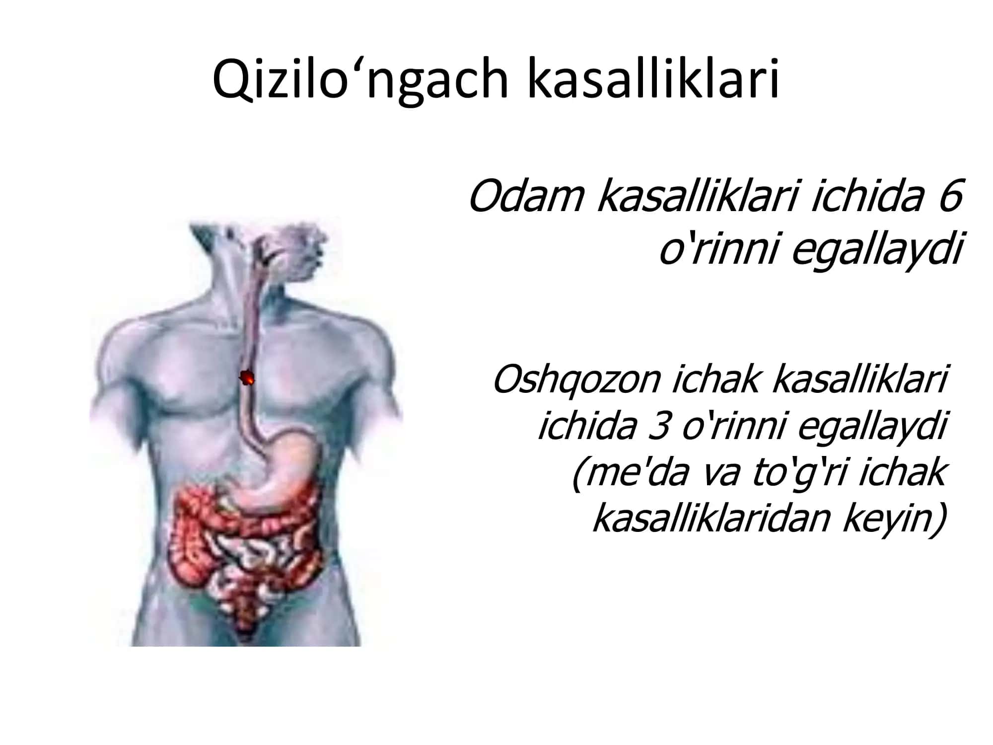 Qizilo‘ngach kasalliklari. 2