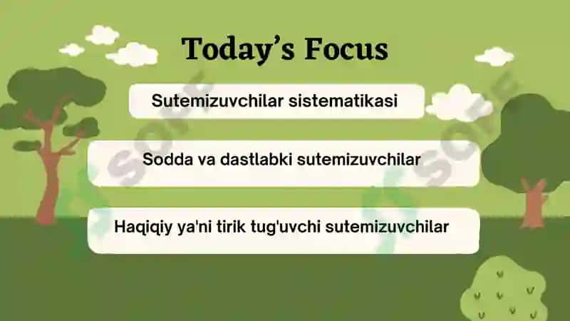 Sutemizuvchilar sistematikasi 2