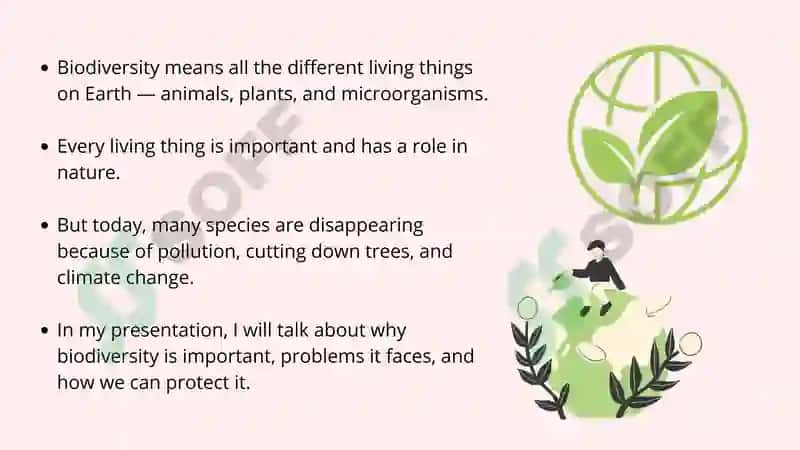 The Importance of Biodiversity Conservation 2