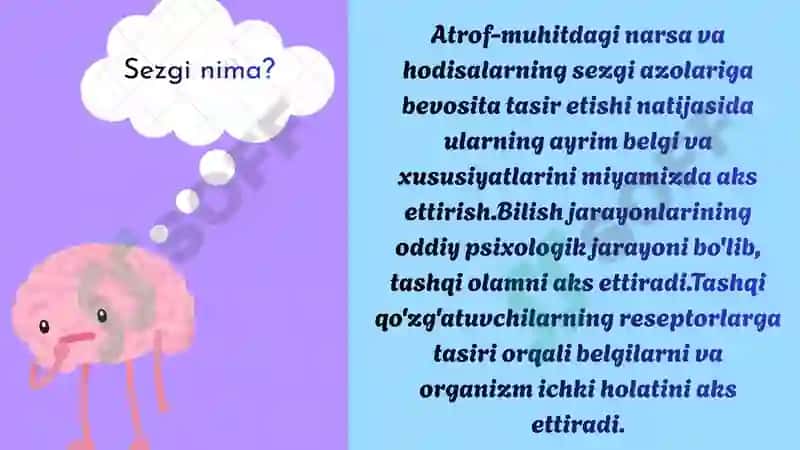Sezgi Haqida Umumiy tushuncha 2