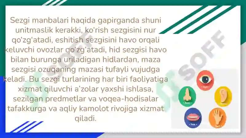 Sezgi haqida umumiy tushuncha 2