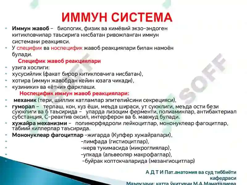 Immunopatologik jarayonlar rivojlanish mexanizmlari 2