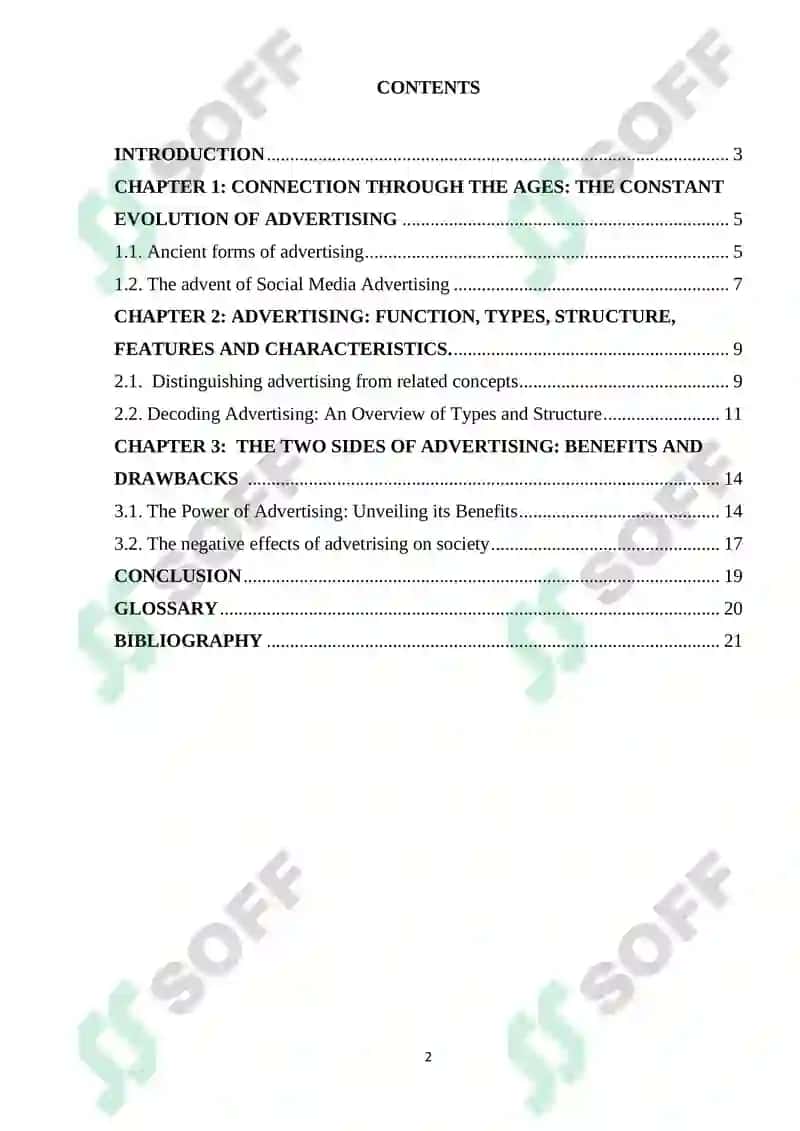 Advertising Course Work 2
