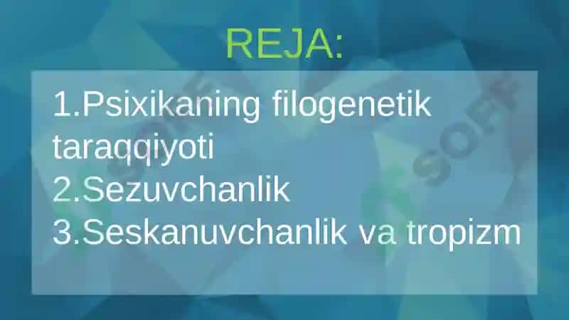 Psixika va Ong Tarqqiyoti 2