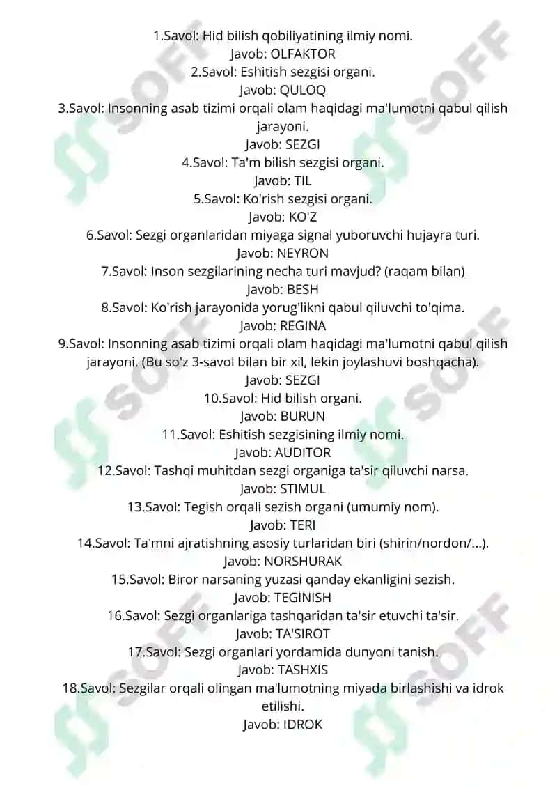 Sezgilar haqida tushuncha 2