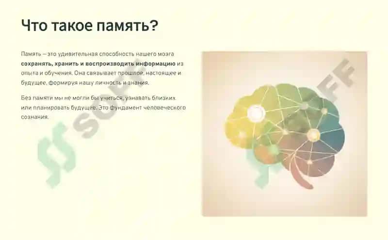 типы памяти и её процессы 2