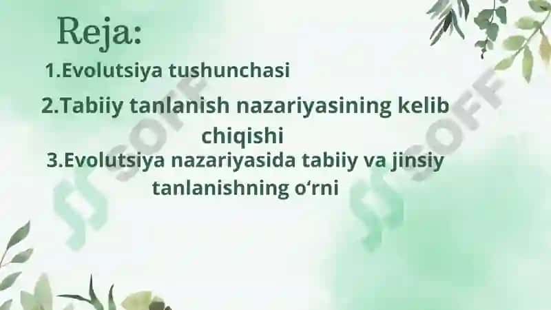 Evolutsiya nazariyasi 2