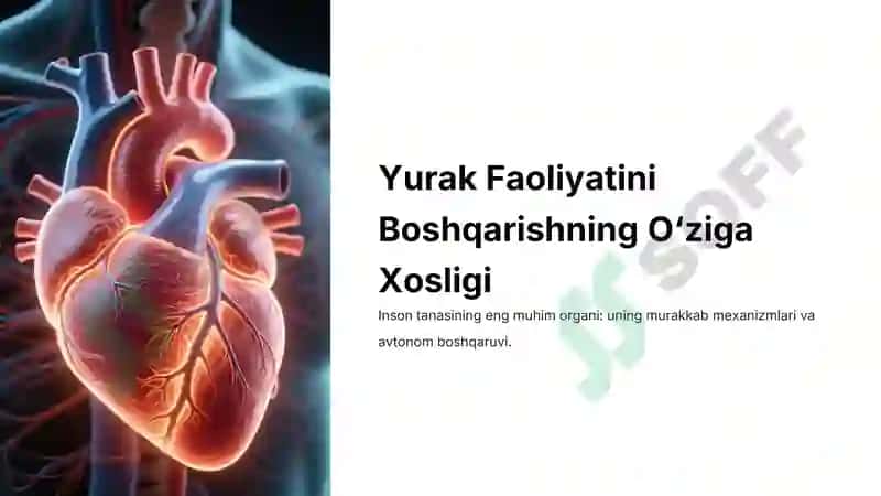 Yurak Faoliyati Boshqarishini O‘ziga Xosligi 2
