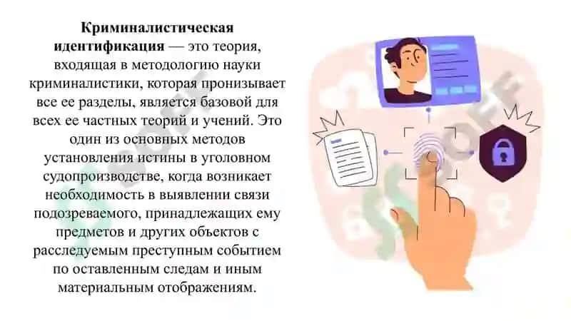 КРИМИНАЛИСТИЧЕСКАЯ ИДЕНТИФИКАЦИЯ И ДИАГНОСТИКА 2