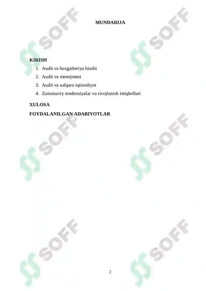 Auditga kirish fanidan Referat 2