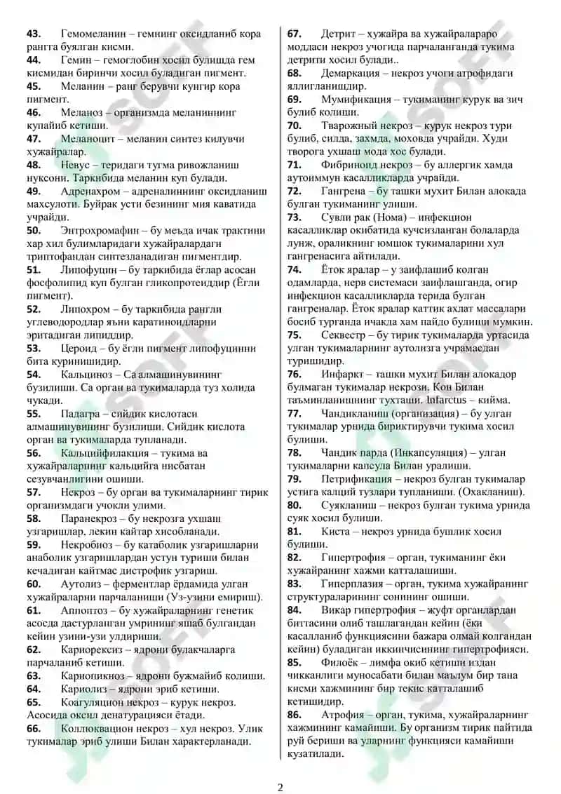 Патология 2