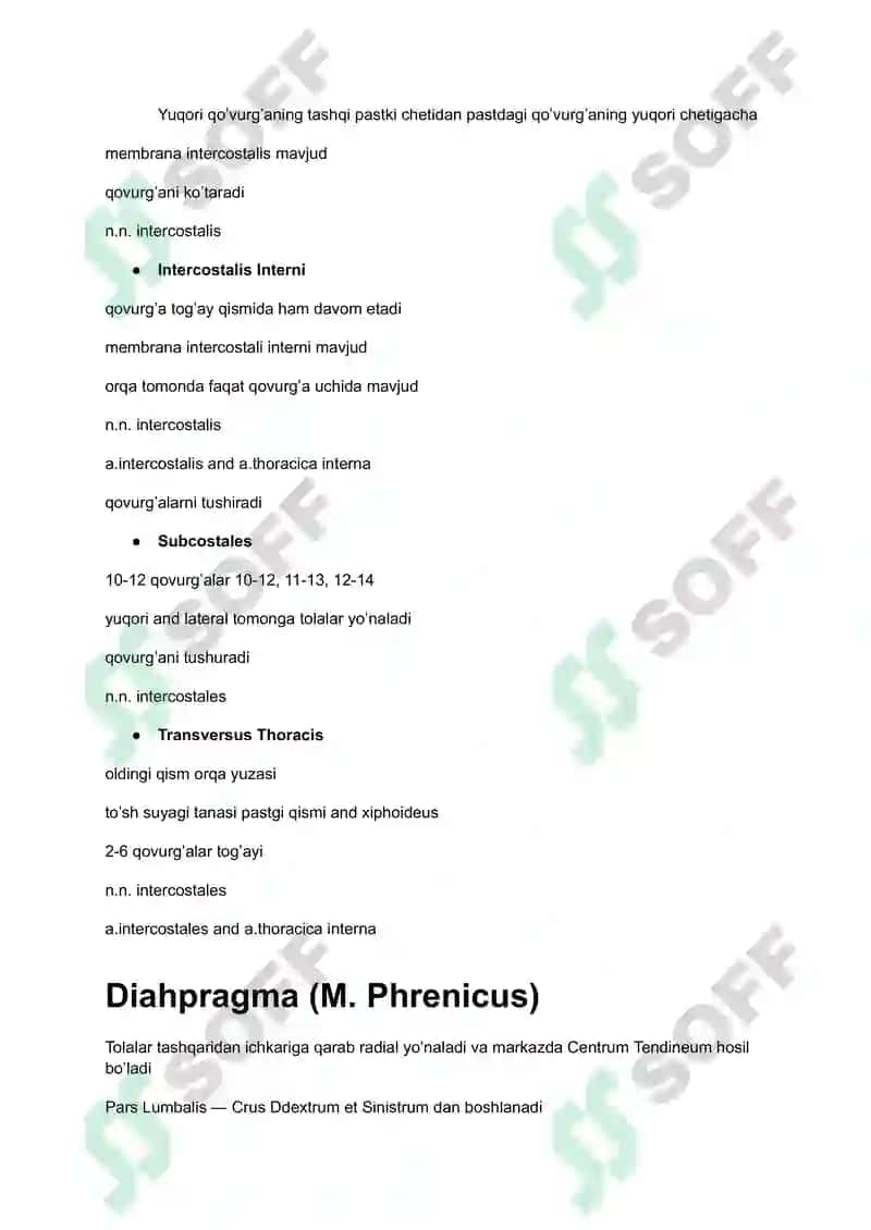 Anatomiya: Ko'krak Old Muskullari (notes) 2