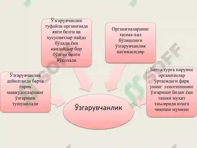 IRSIY O’ZGARUVCHANLIK 2