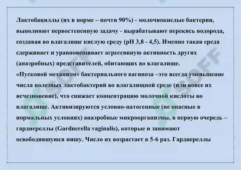 БАКТЕРИАЛ ВАГИНОЗ, ГАРДНЕРЕЛЛЕЗ 2