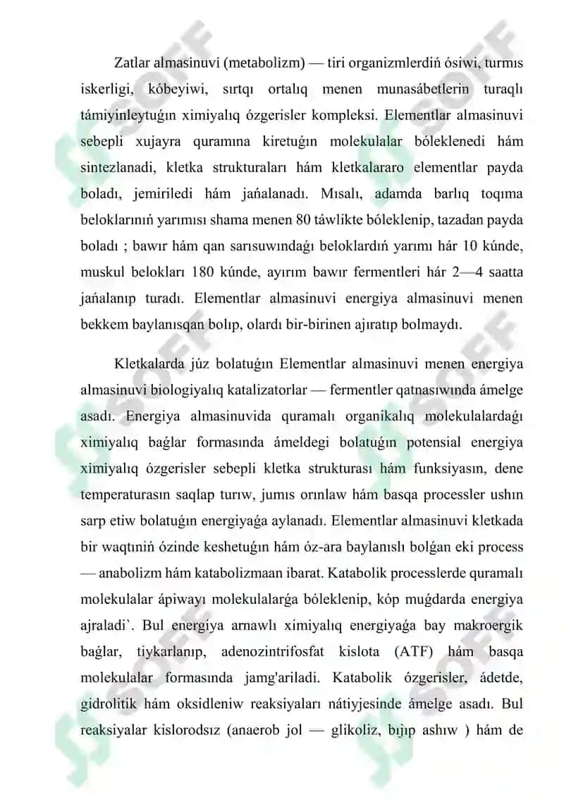Zatlar Almasinuvi 2