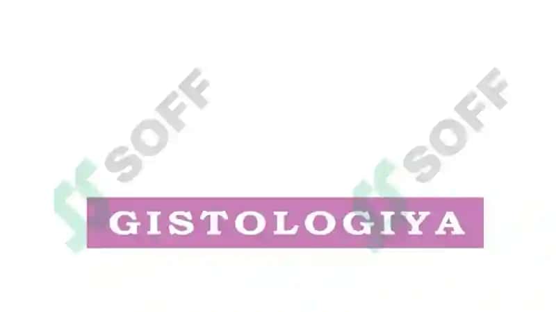Hazm sistemasi gistalogiyasi 2
