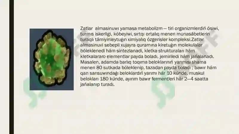 Zatlar Almasinuwi 2