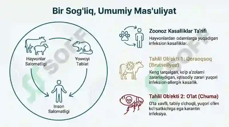 Zoonoz Kasalliklar. Qoraoqsoq. O'lat 2