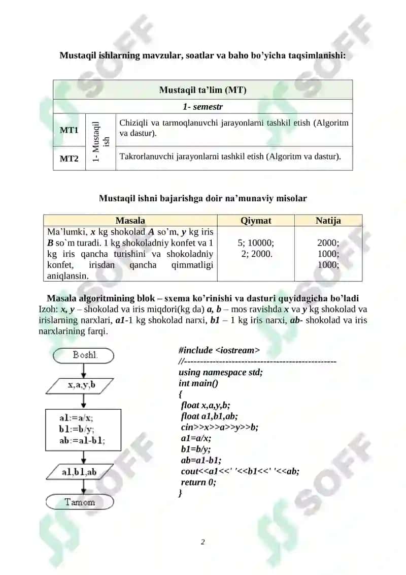 Mustaqil ta’lim shakli va mazmuni 2