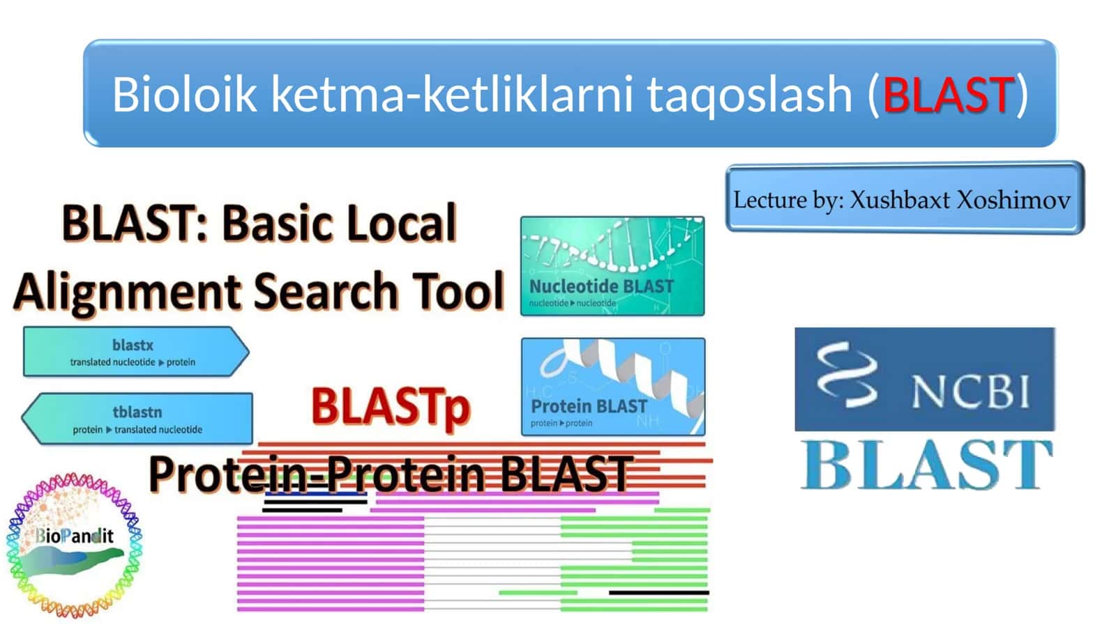 Bioloik ketma-ketliklarni taqoslash (BLAST) 2