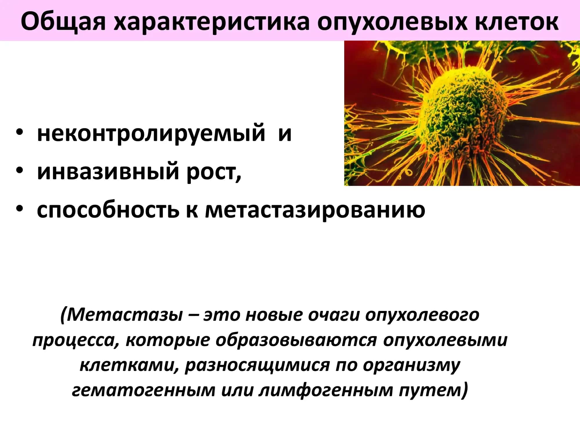 БИОХИМИЧЕСКИЕ ОСНОВЫ КАНЦЕРОГЕНЕЗА 2