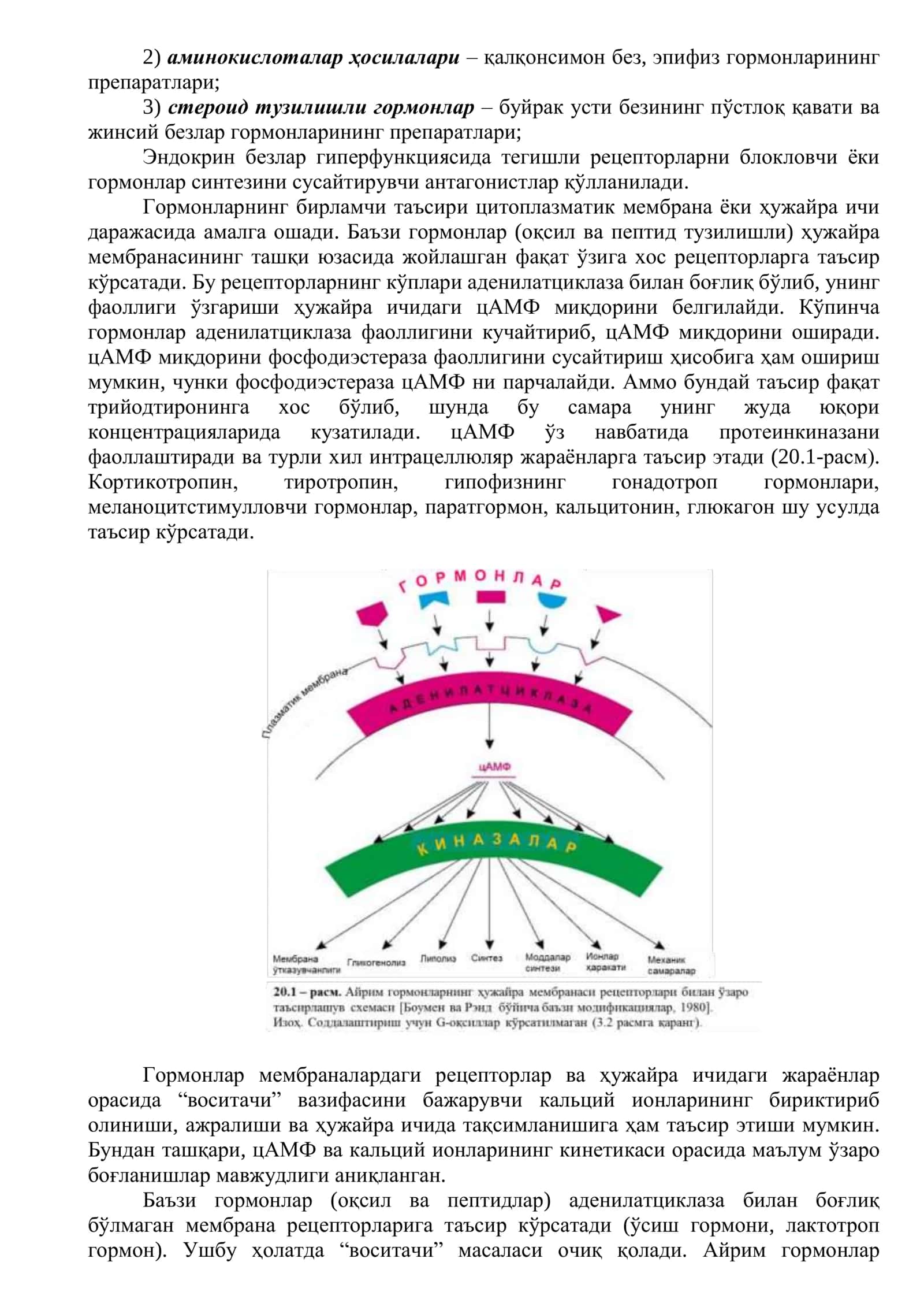 Гормонал препаратлар 2