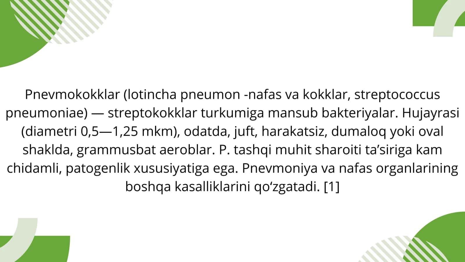 STREPTAKOKKUS PNEUMONIA 2