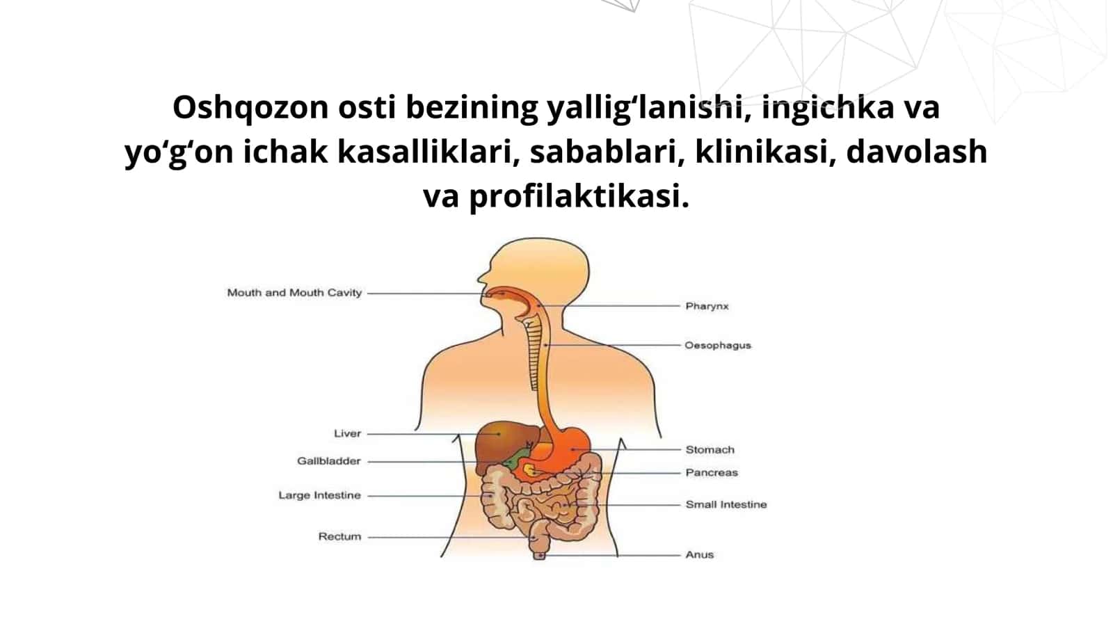 Oshqozon osti bezining yalligʻlanishi, ingichka va yoʻgʻon ichak kasalliklari, sabablari, klinikasi, davolash va profilaktikasi. 2