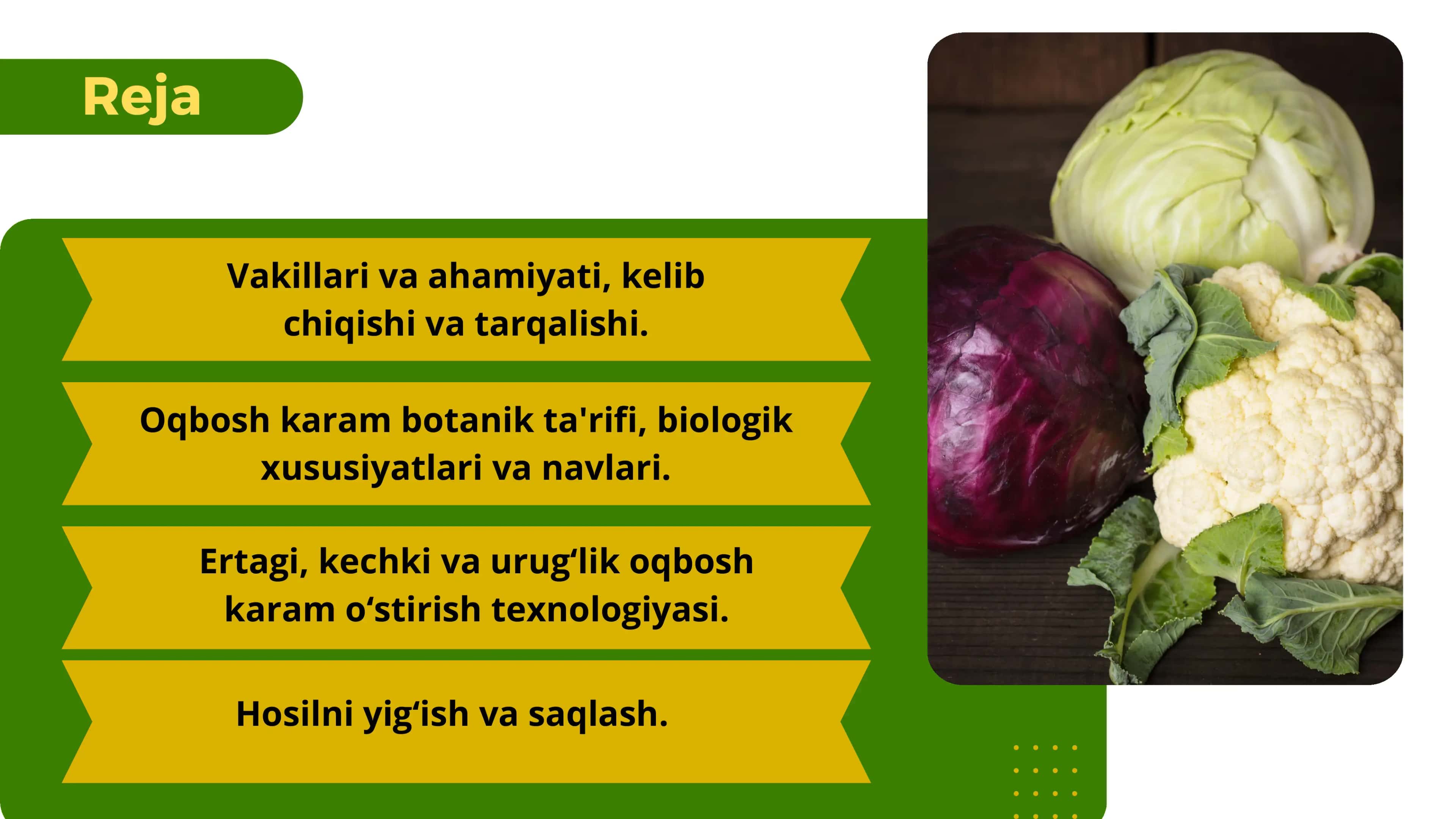 Karambosh 2