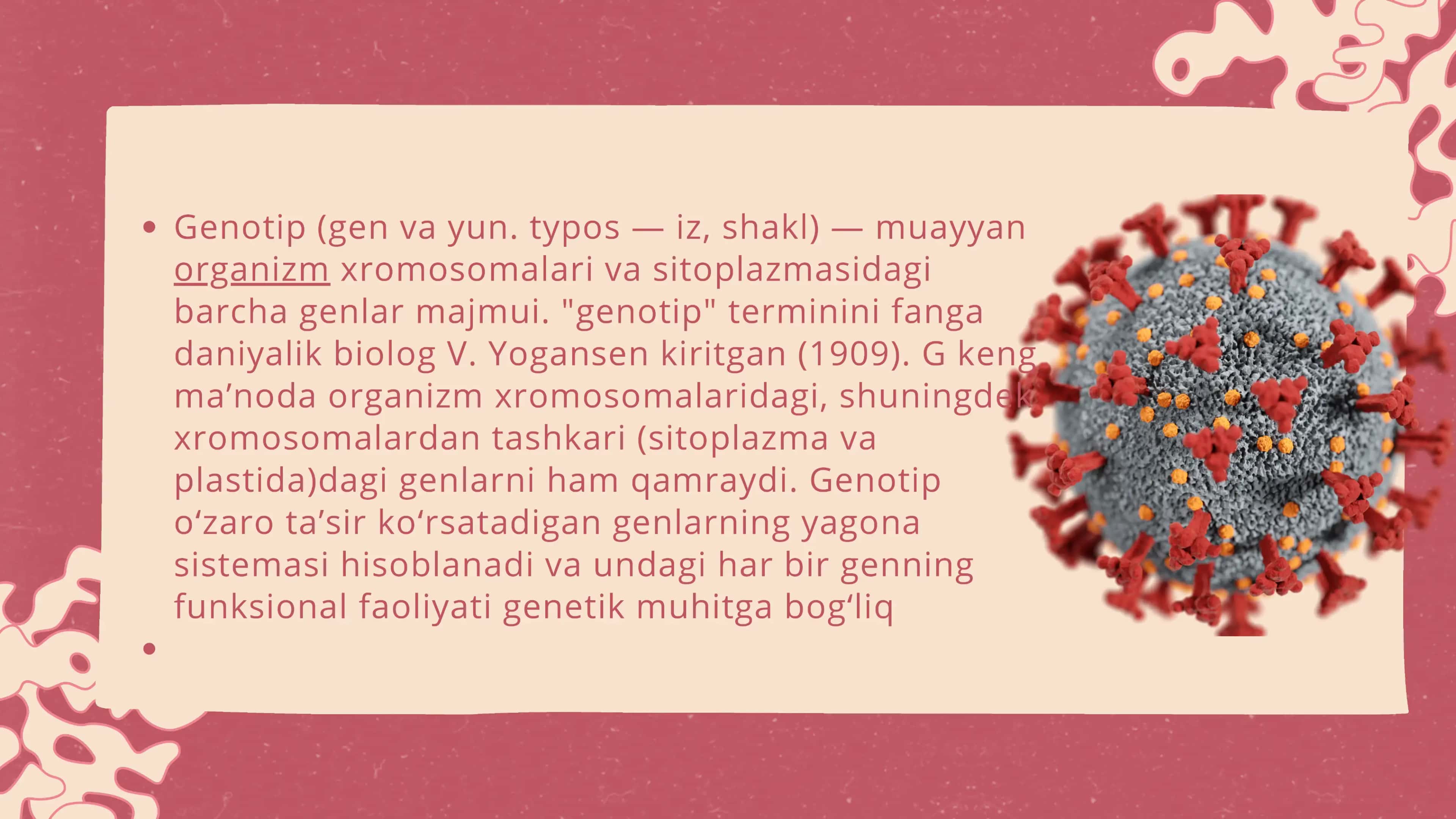 Differensial psixologiya 2