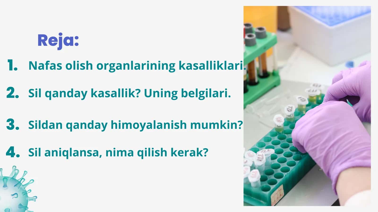 SIL KASALLIGI 2