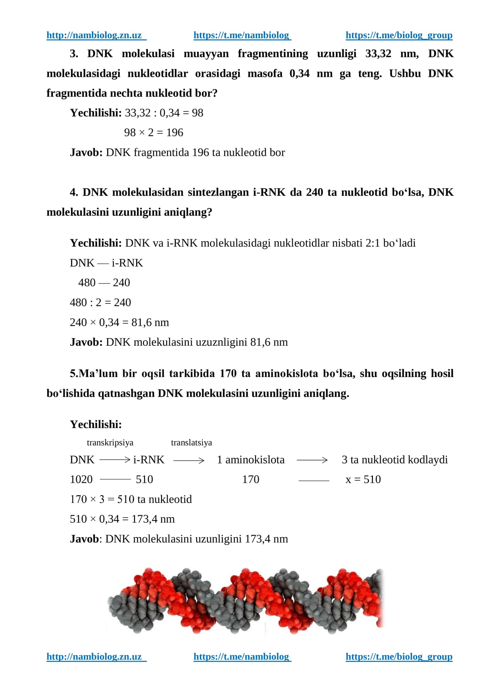 DNK uzunligini aniqlashga doir masalalar ishlash 2
