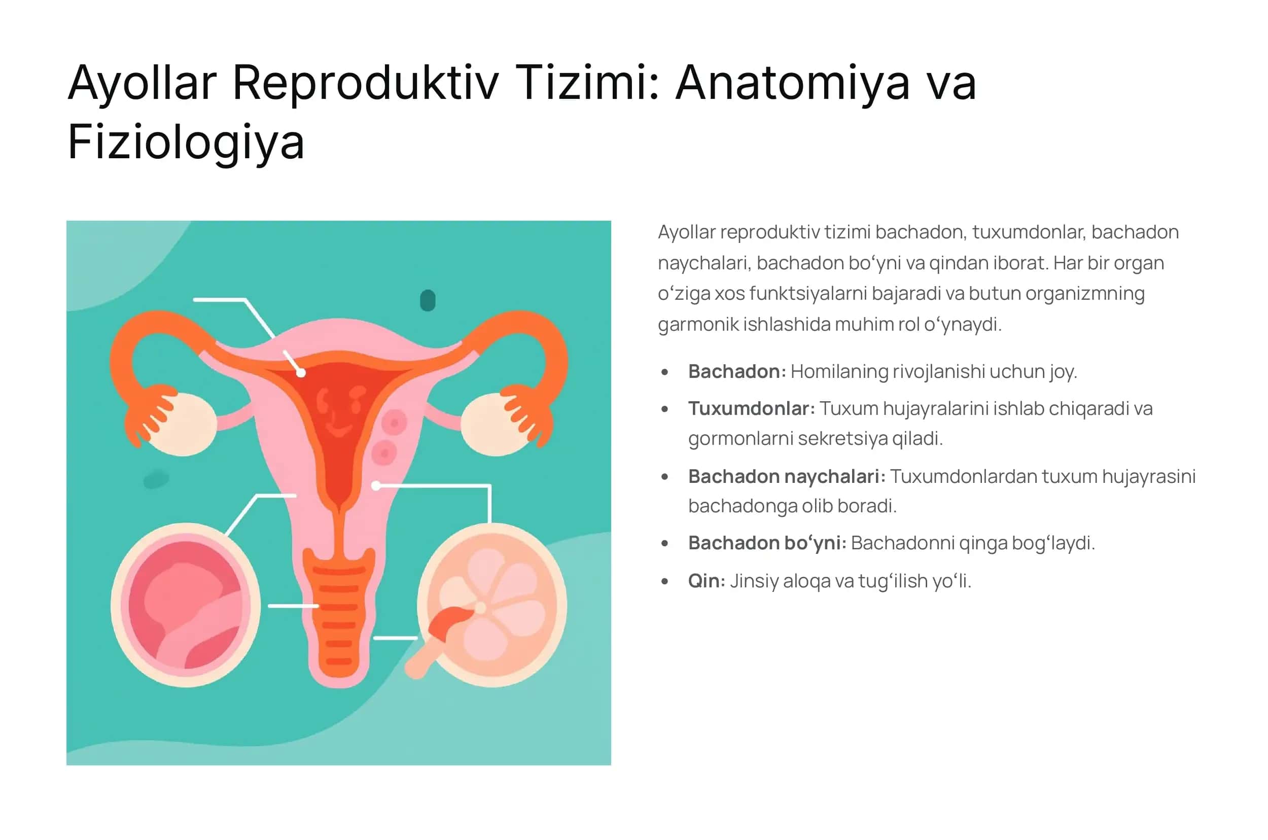 Ayollar Jinsiy Organlarida O»sma Kasalliklari 2